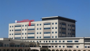 Ceylanpınar'da Başarılı Operasyon: Doğurganlık Korundu