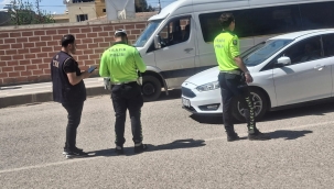 Ceylanpınar'da Trafik Mesaisi! Kurallara Uymayanlara Geçit Yok