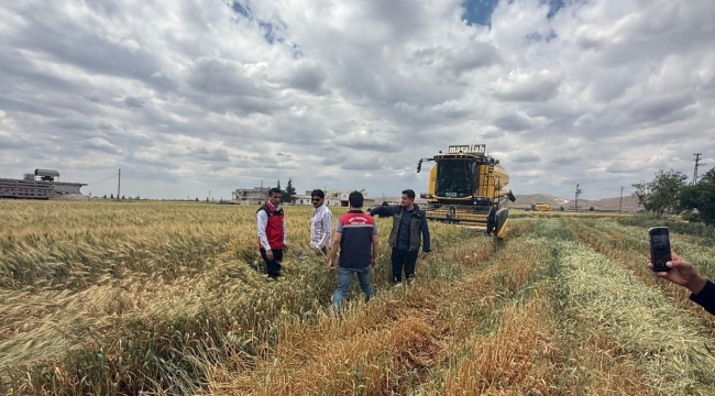 Dünyanın Konuştuğu Lezzet Şanlıurfa'da Üretiliyor