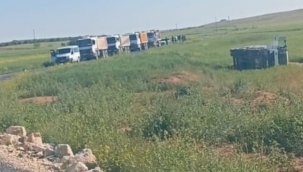 Harran'da Kamyon Kazası Ucuz Atlatıldı! Sürücü Yaralı Kurtuldu