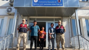 Harran'da Kayıp Alarmı: Küçük Kardeşler Sağ Salim Bulundu