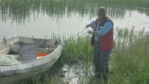 Karaköprü'de Su Altı Operasyonu! Kaçak Avcılık Önlenildi
