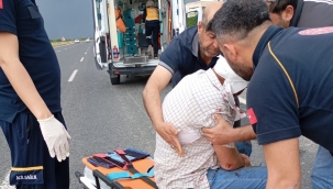 Şanlıurfa-Bozova Yolunda Panik! Sağlık Ekipleri Sevk Edildi