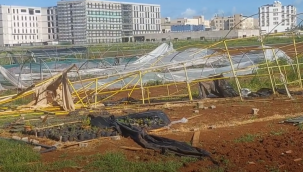 Şanlıurfa'da Fırtına Dehşeti: Ağaçlar Devrildi, Binalar Hasar Gördü