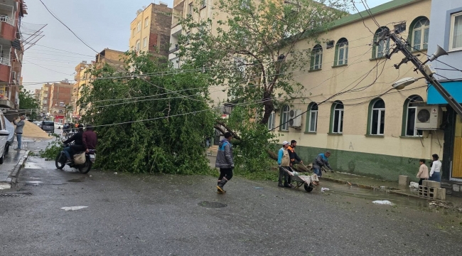 Şanlıurfa'da Fırtına Sonrası Seferberlik: Ekipler Sahada