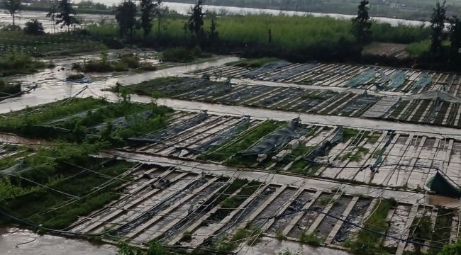 Şanlıurfa'da Şiddetli Fırtına Felaketi: Seralar Zarar Gördü