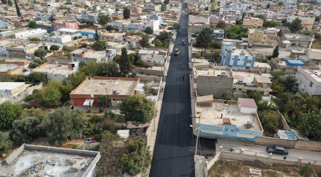 Şanlıurfa'da Tarihi Adım: Ceylanpınar'da Mülkiyet Sorunu Çözüldü