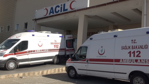 Şanlıurfa'da Yolda Can Pazarı: 2 Kişi Öldü