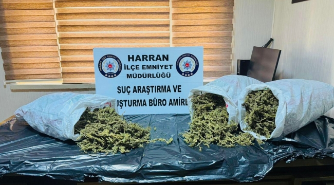 Şanlıurfa'da Zehir Tacirlerine Operasyon: 1 Kişi Tutuklandı
