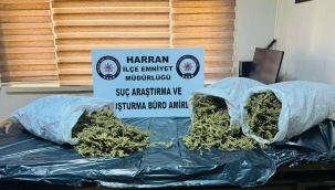 Şanlıurfa'da Zehir Tacirlerine Operasyon: 1 Kişi Tutuklandı