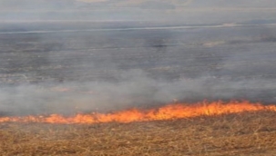 Şanlıurfa İçin Alarm! Anız Yangınlarının Tehlikesi Büyüyor