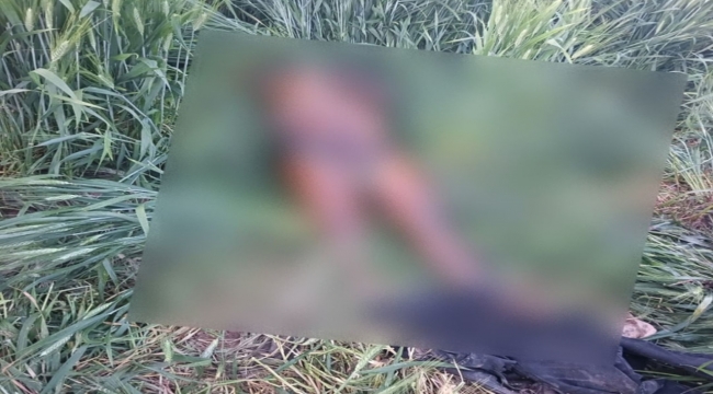 Şanlıurfa Sınırında Tüyler Ürperten Olay