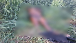 Şanlıurfa Sınırında Tüyler Ürperten Olay