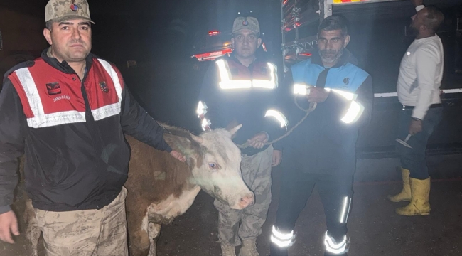 Siverek'te 40 Saatlik Kamera İncelemesiyle Hırsızlık Çözüldü