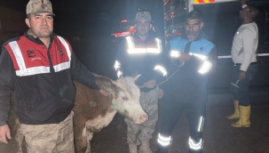 Siverek'te 40 Saatlik Kamera İncelemesiyle Hırsızlık Çözüldü