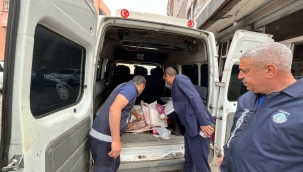 Viranşehir'de Fırınlara Zabıta Denetimi: Renkli Kağıt Kullanımına Yasak