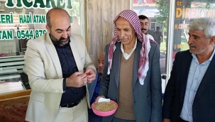 Viranşehir'de İlk Arpa Görücüye Çıktı