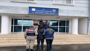 Viranşehir ve Karaköprü'de Şafak Operasyonu! 3 Kişi Tutuklandı