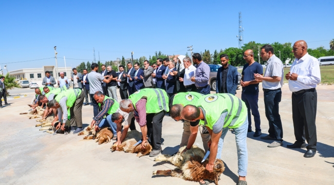 Başkan Özyavuz Şanlıurfaspor'un Yeni Yonetimini Kurbanlar Keserek Karşıladı 