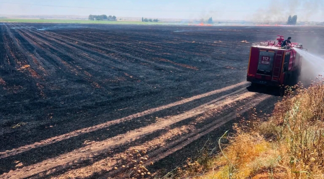 Harran'da 500 Dönümlük Tarlada Anız Yangını