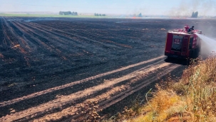 Harran'da 500 Dönümlük Tarlada Anız Yangını