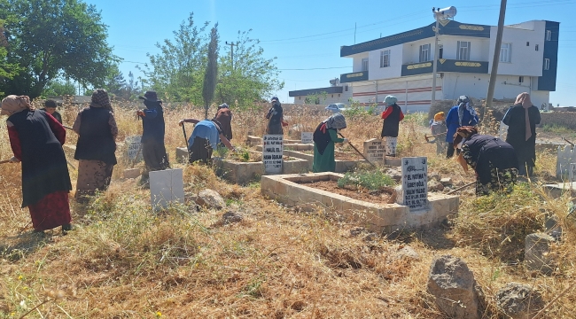 Harran'da Mezarlıklar Yabani Otlardan Temizleniyor 