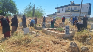 Harran'da Mezarlıklar Yabani Otlardan Temizleniyor 