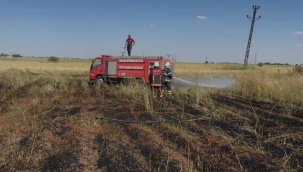 Harran ve Siverek'te Anız Yangını Krizi: Çok Sayıda Gözaltı