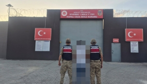 Karaköprü ve Siverek'te Eş Zamanlı Operasyon