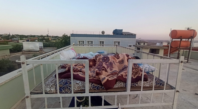 Şanlıurfa'da Bin Yıllık Gelenek Yeniden Canlandı