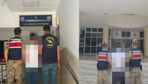 Şanlıurfa'da Jandarma Operasyonu: 2 Firari Daha Yakalandı