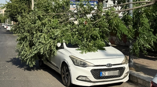 Şanlıurfa'da Rüzgar Araçları Vurdu