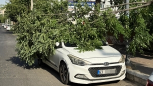 Şanlıurfa'da Rüzgar Araçları Vurdu