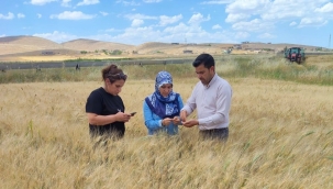 Şanlıurfa'da Tarla İncelemesi! Üreticide Yüzleri Güldüren Sonuç