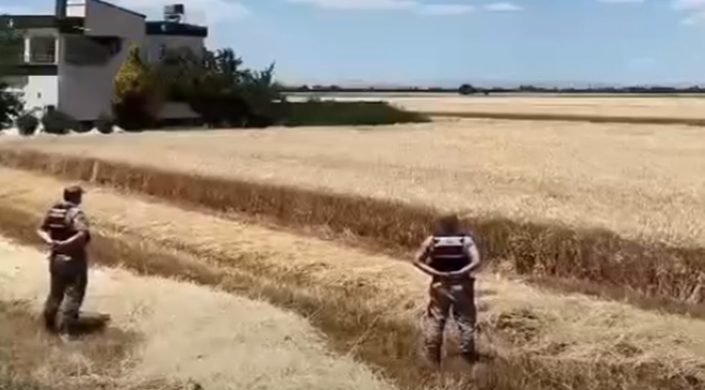Şanlıurfa'da Yangın Alarmı! Jandarma Tarlalarda Nöbette