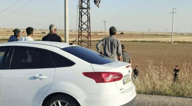 Şanlıurfa'da Yürekleri Ağza Getiren Olay: Direkte Asılı Kaldı