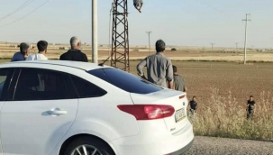 Şanlıurfa'da Yürekleri Ağza Getiren Olay: Direkte Asılı Kaldı