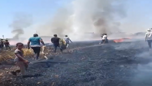 Şanlıurfa'da Yürekleri Ağza Getiren Yangın! Mahalleli El Ele Verdi