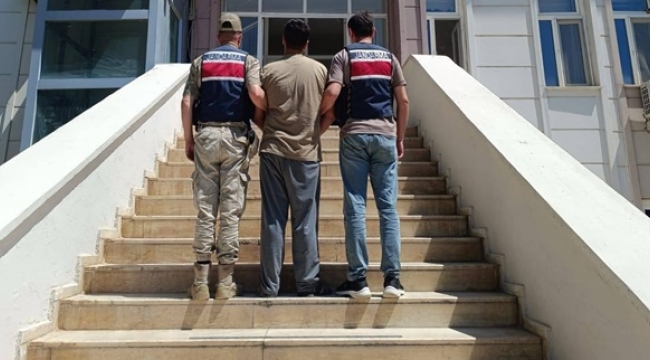 Suruç, Birecik ve Haliliye'de Eş Zamanlı Operasyon