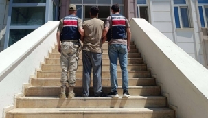 Suruç, Birecik ve Haliliye'de Eş Zamanlı Operasyon