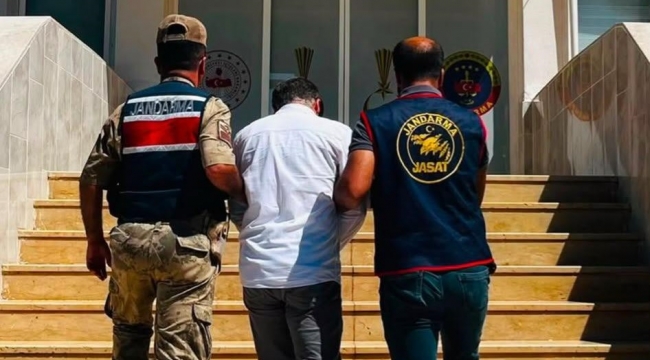 Akçakale'de Operasyon Günü! Aranan Şahıs Jandarmadan Kaçamadı