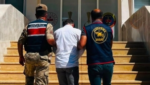 Akçakale'de Operasyon Günü! Aranan Şahıs Jandarmadan Kaçamadı