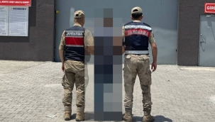 Aranan Hükümlüler Tek Tek Yakalanıyor! Şanlıurfa'da 2 Operasyon