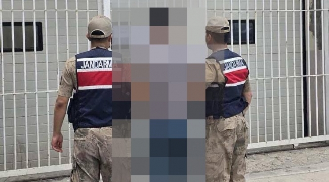 Haliliye'de Gizlenen Hükümlü Jandarmadan Kaçamadı