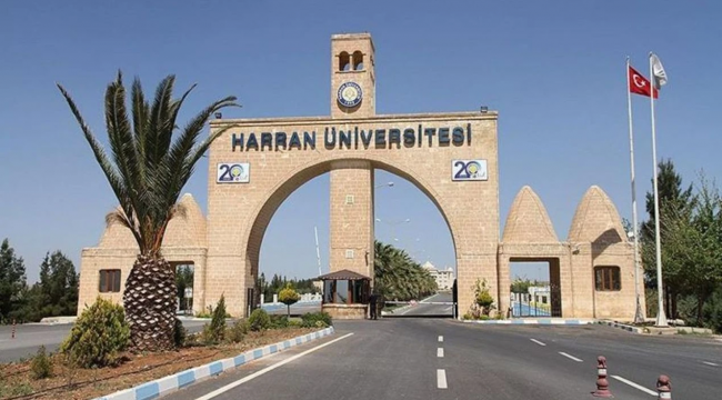 Harran Üniversitesi Yüzlerce Personel Alacak: Başvuru Şartları Açıklandı
