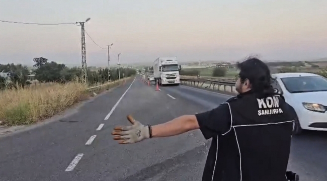 Şanlıurfa'da 75 Bin Paket Kaçak Sigara Ele Geçirildi, 1 Kişi Tutuklandı