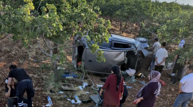 Şanlıurfa'da  Araç Fıstık Tarlasına Devrildi, 3 Kadın Yaralandı