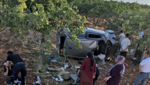 Şanlıurfa'da  Araç Fıstık Tarlasına Devrildi, 3 Kadın Yaralandı