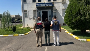Şanlıurfa'da Aranan İki Firari Hükümlü Jandarmadan Kaçamadı