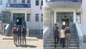 Şanlıurfa'da Aranan Şahıslara Darbe! Jandarma Operasyonu Sonuç Verdi